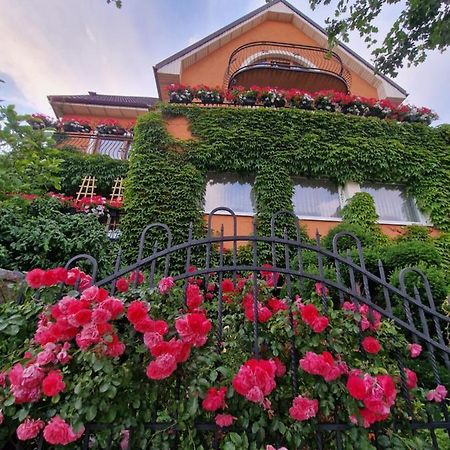 Villa Victoria Łeba Zewnętrze zdjęcie